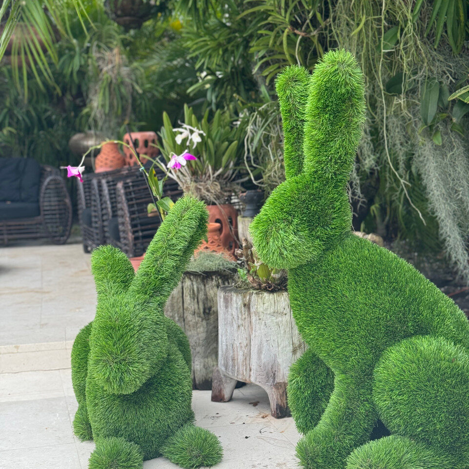 Sitting Rabbit - Image 3