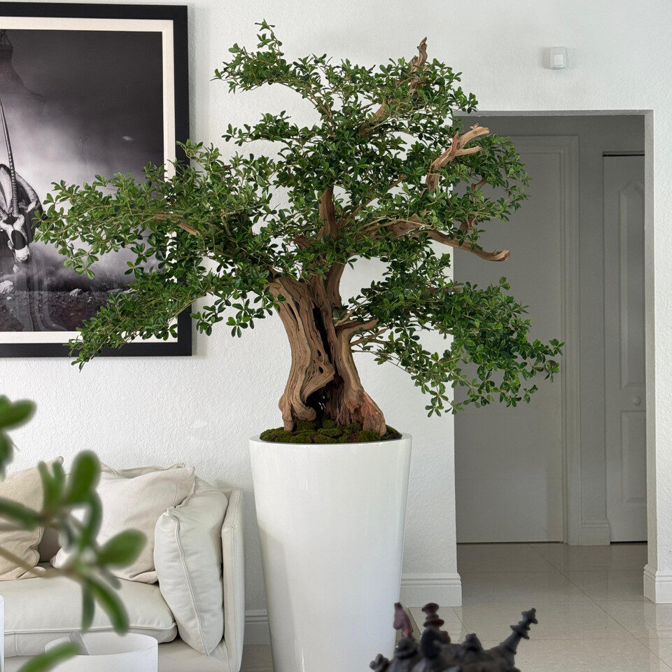 Artificial Black Olive Bonsai Tree in Glossy White Belle Planter - Image 4