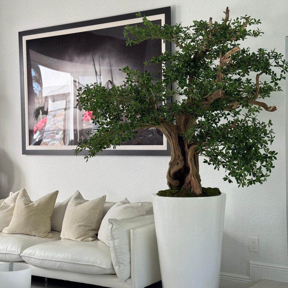 Artificial Black Olive Bonsai Tree in Glossy White Belle Planter - Image 5